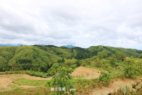 【雲林古坑】360度環景好視野。雲嶺之丘x杉木林步道