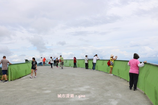 【雲林古坑】360度環景好視野。雲嶺之丘x杉木林步道