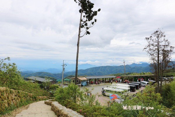 【雲林古坑】360度環景好視野。雲嶺之丘x杉木林步道