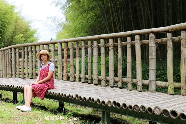 【雲林古坑】純粹的綠卻離不開的目光。五元二角社區遊憩綠廊x竹