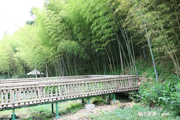 【雲林古坑】純粹的綠卻離不開的目光。五元二角社區遊憩綠廊x竹