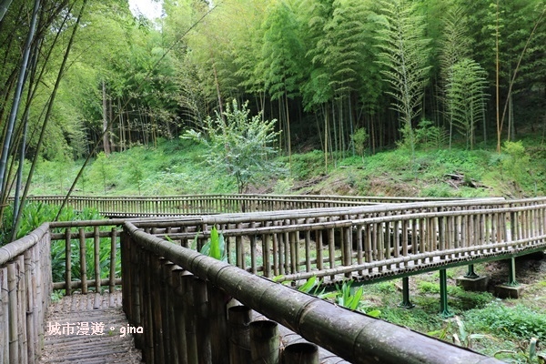 【雲林古坑】純粹的綠卻離不開的目光。五元二角社區遊憩綠廊x竹