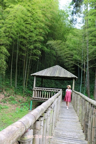 【雲林古坑】純粹的綠卻離不開的目光。五元二角社區遊憩綠廊x竹