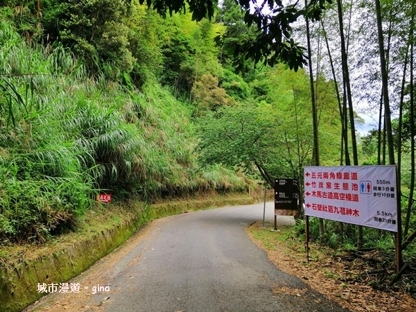 【雲林古坑】純粹的綠卻離不開的目光。五元二角社區遊憩綠廊x竹