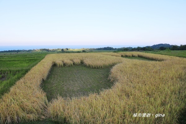 IMG_0503.JPG IMG_0503.JPG