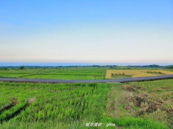 IMG_0504.jpg IMG_0504.jpg