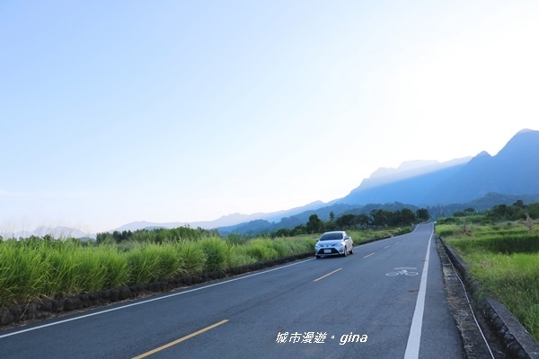 IMG_0605.JPG IMG_0605.JPG