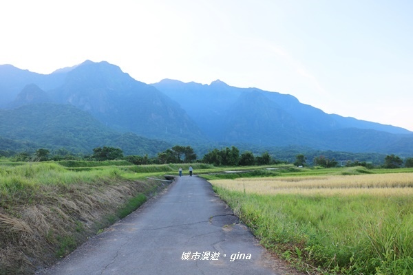 IMG_0615.JPG IMG_0615.JPG