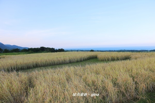 IMG_0616.JPG IMG_0616.JPG