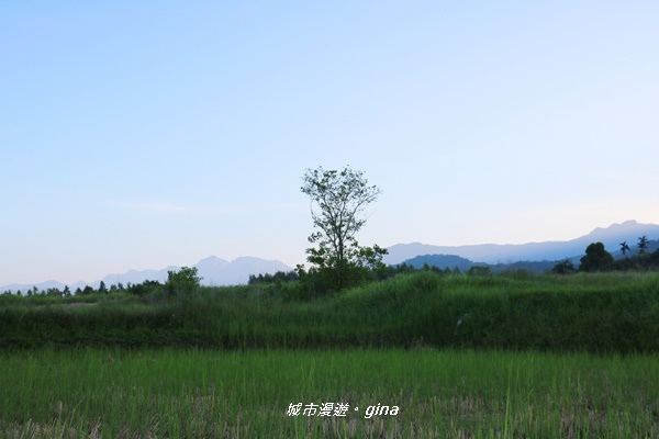 IMG_0630.JPG IMG_0630.JPG