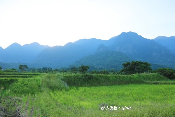 IMG_0627.JPG IMG_0627.JPG