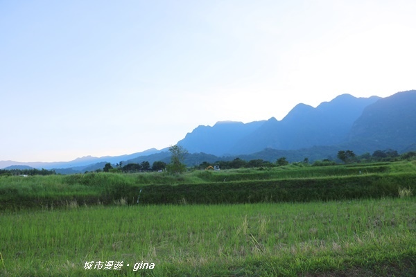 IMG_0632.JPG IMG_0632.JPG