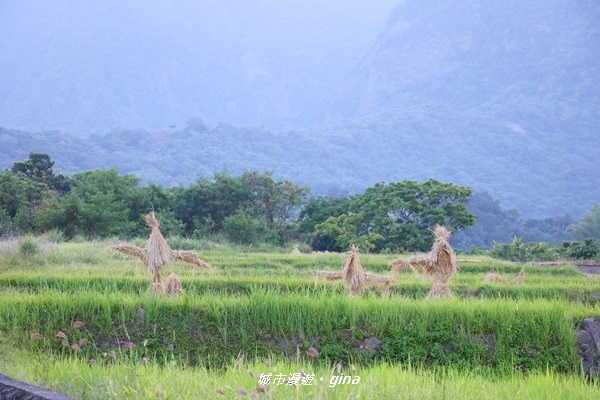 IMG_0638.JPG IMG_0638.JPG