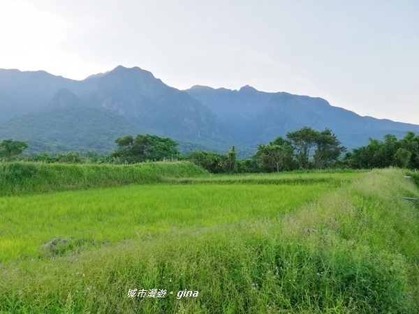 IMG_20190713_175157.jpg IMG_20190713_175157.jpg