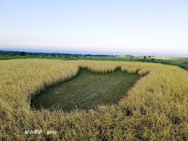 IMG_20190713_174552.jpg IMG_20190713_174552.jpg