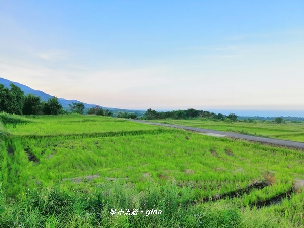 IMG_20190713_181509.jpg IMG_20190713_181509.jpg