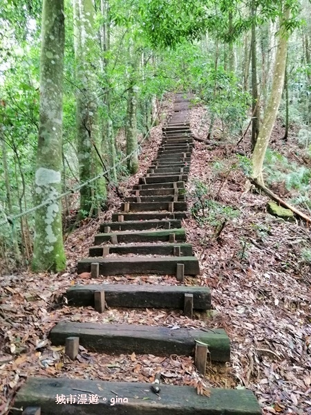 IMG_20190720_085402.jpg IMG_20190720_085402.jpg