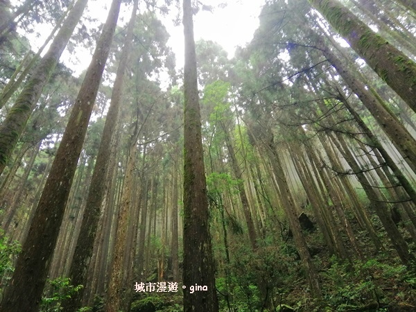 IMG_20190720_085404.jpg IMG_20190720_085404.jpg