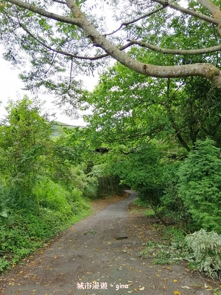 IMG_20190720_090028.jpg IMG_20190720_090028.jpg