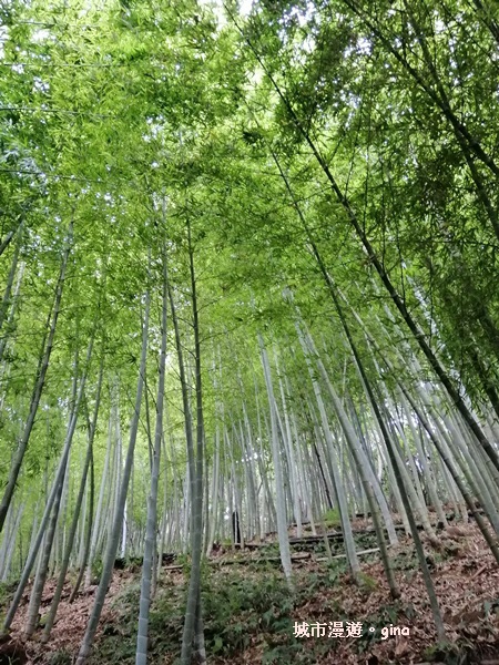 IMG_20190720_091438.jpg IMG_20190720_091438.jpg