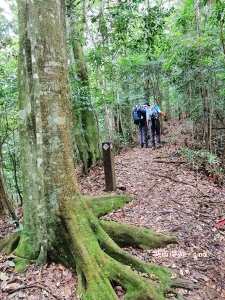 IMG_20190720_104900.jpg IMG_20190720_104900.jpg