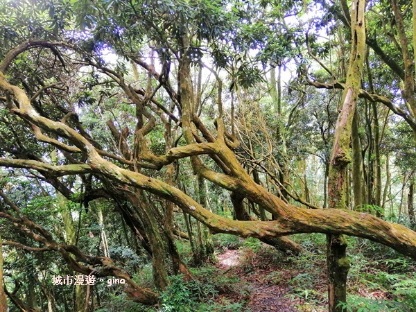 IMG_20190720_111313.jpg IMG_20190720_111313.jpg