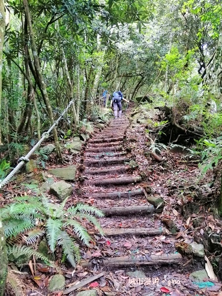 IMG_20190720_112433.jpg IMG_20190720_112433.jpg