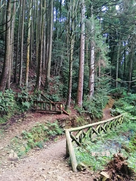 IMG_20190720_122345.jpg IMG_20190720_122345.jpg