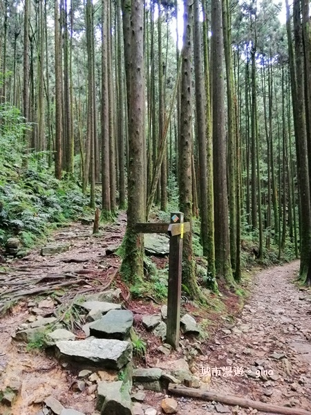 IMG_20190720_123801.jpg IMG_20190720_123801.jpg