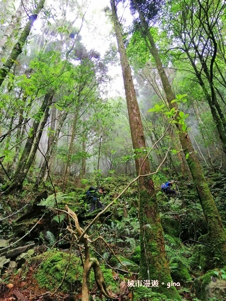 IMG_20190720_130833.jpg IMG_20190720_130833.jpg