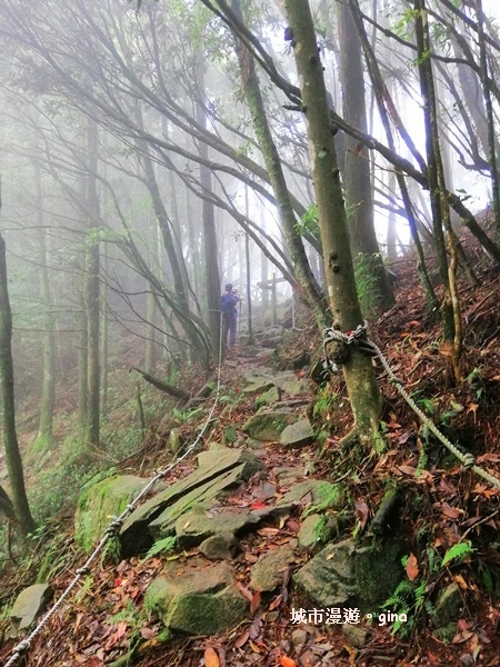 IMG_20190720_131444.jpg IMG_20190720_131444.jpg