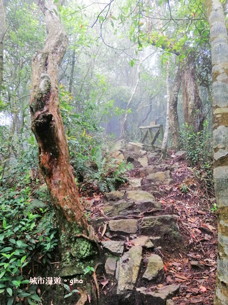 IMG_20190720_131835.jpg IMG_20190720_131835.jpg