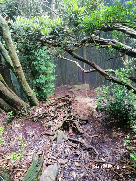 IMG_20190720_131839.jpg IMG_20190720_131839.jpg