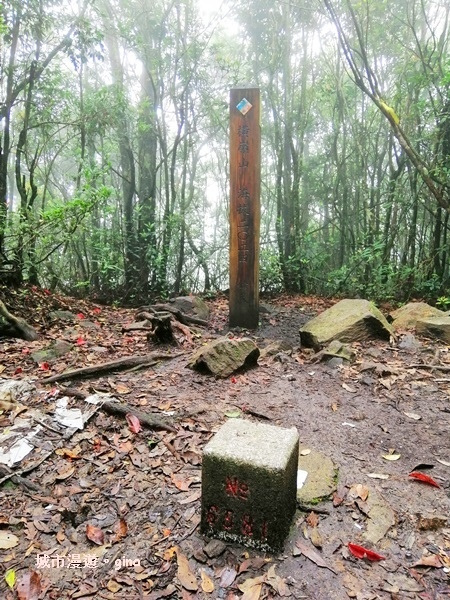 IMG_20190720_140758.jpg IMG_20190720_140758.jpg