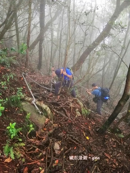 IMG_20190720_143002.jpg IMG_20190720_143002.jpg