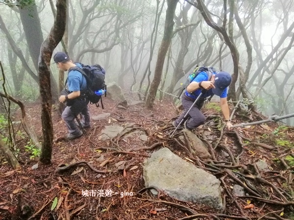 IMG_20190720_141936.jpg IMG_20190720_141936.jpg