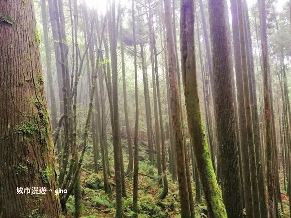 IMG_20190720_150211.jpg IMG_20190720_150211.jpg