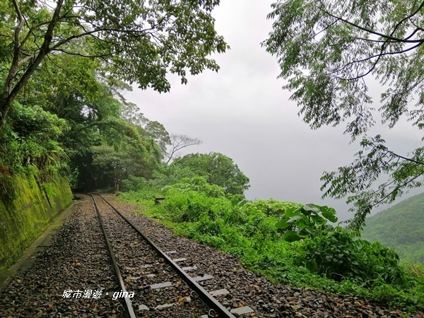 IMG_20190727_095622.jpg IMG_20190727_095622.jpg