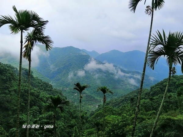 IMG_20190727_095624.jpg IMG_20190727_095624.jpg