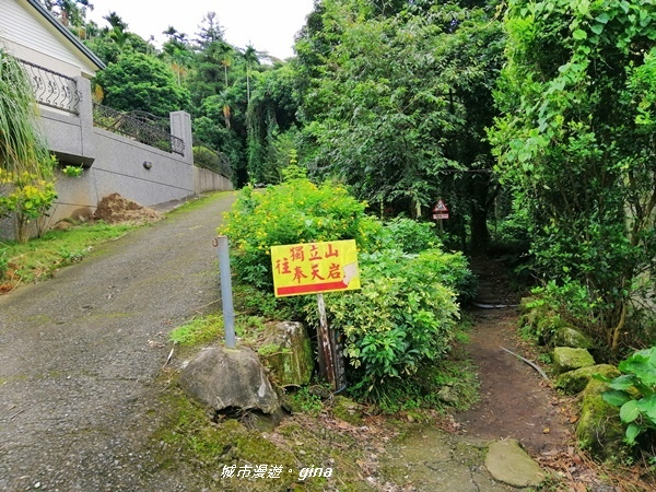 IMG_20190727_095639.jpg IMG_20190727_095639.jpg