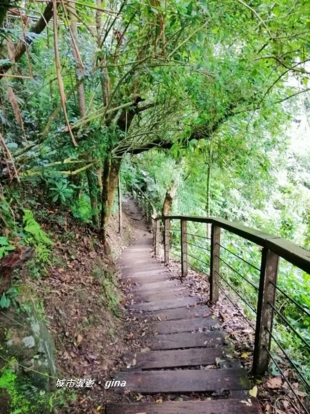 IMG_20190727_100018.jpg IMG_20190727_100018.jpg