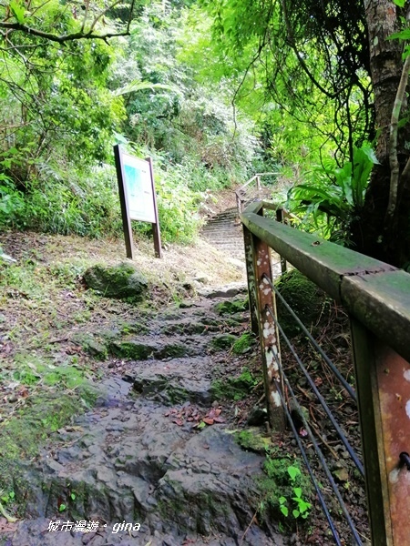 IMG_20190727_100450.jpg IMG_20190727_100450.jpg