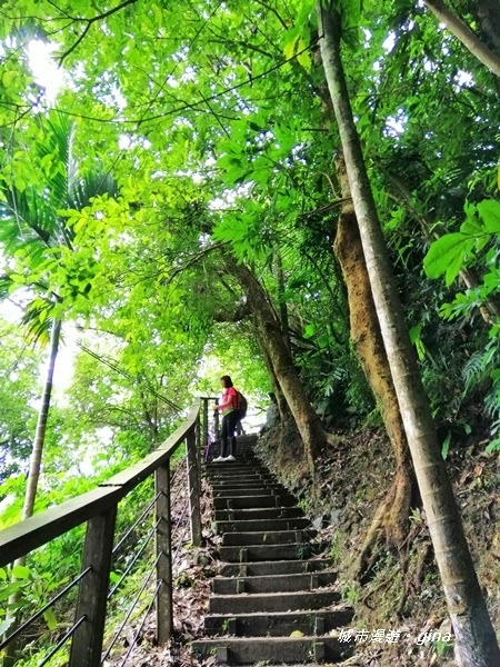 IMG_20190727_100306.jpg IMG_20190727_100306.jpg