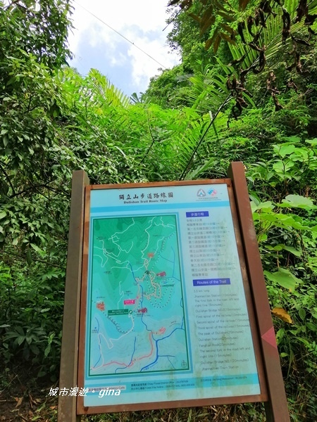 IMG_20190727_100520.jpg IMG_20190727_100520.jpg