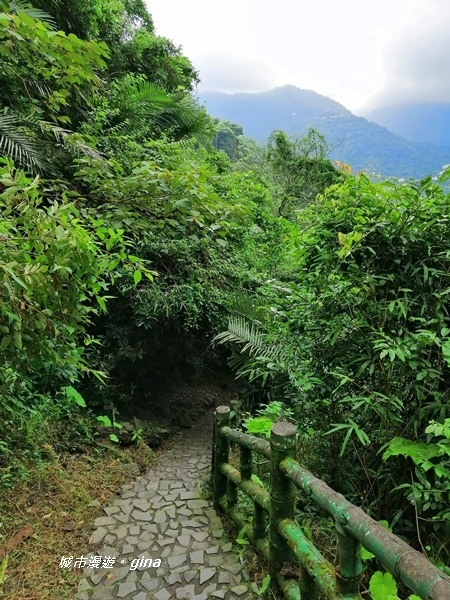 IMG_20190727_100528.jpg IMG_20190727_100528.jpg