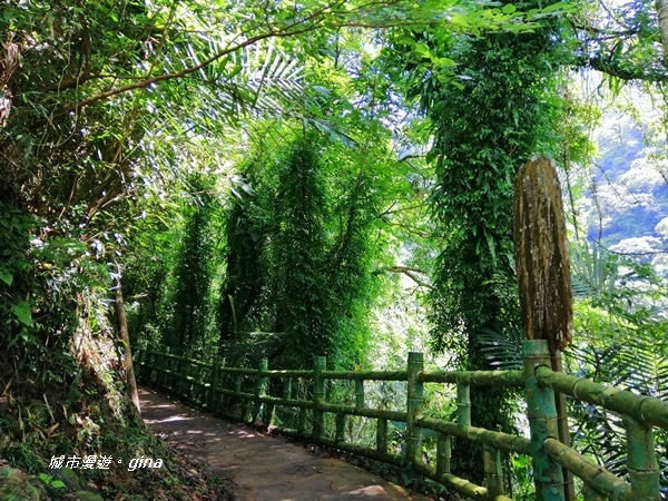 IMG_20190727_100716.jpg IMG_20190727_100716.jpg