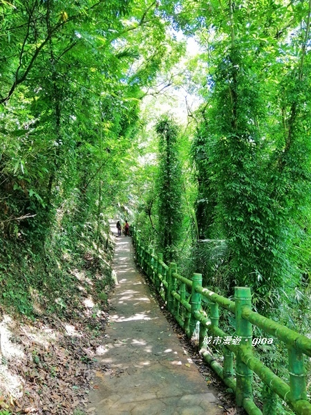 IMG_20190727_100924.jpg IMG_20190727_100924.jpg