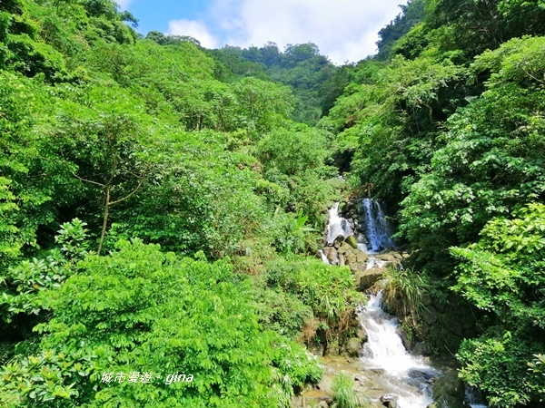 IMG_20190727_102711.jpg IMG_20190727_102711.jpg