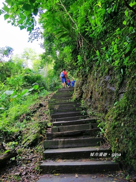 IMG_20190727_103107.jpg IMG_20190727_103107.jpg