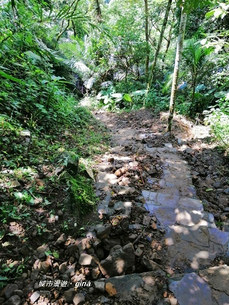 IMG_20190727_103717.jpg IMG_20190727_103717.jpg